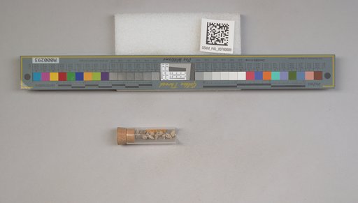 NSF ADBC EPICC TCN