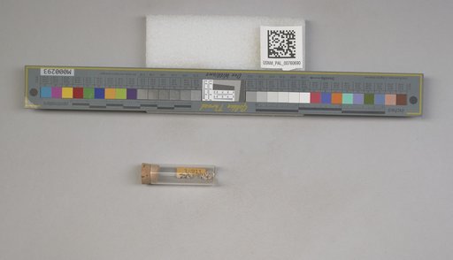 NSF ADBC EPICC TCN