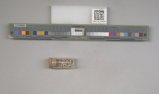NSF ADBC EPICC TCN