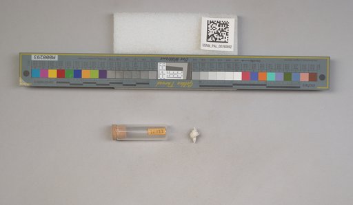 NSF ADBC EPICC TCN