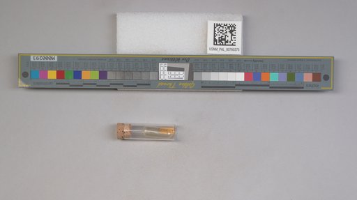 NSF ADBC EPICC TCN