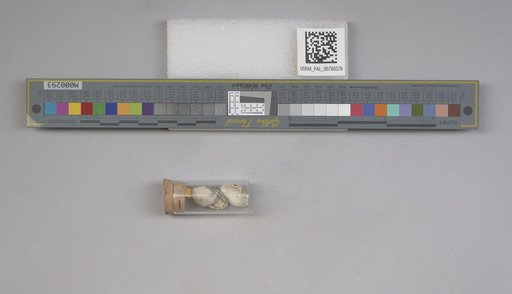 NSF ADBC EPICC TCN