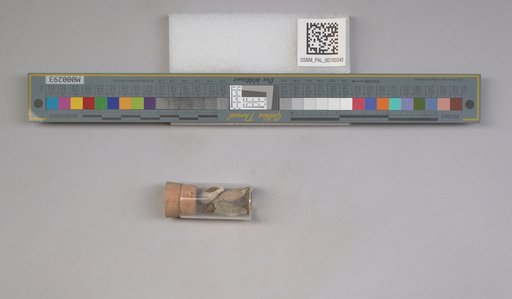 NSF ADBC EPICC TCN