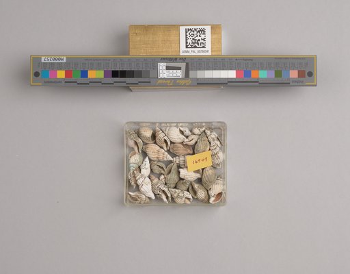 NSF ADBC EPICC TCN