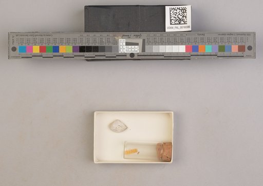 NSF ADBC EPICC TCN