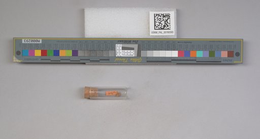 NSF ADBC EPICC TCN