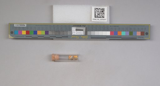 NSF ADBC EPICC TCN