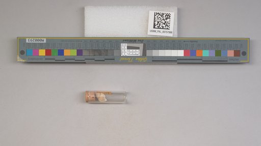 NSF ADBC EPICC TCN