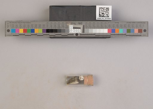 NSF ADBC EPICC TCN