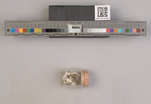 NSF ADBC EPICC TCN
