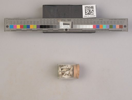NSF ADBC EPICC TCN