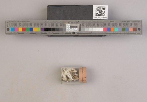 NSF ADBC EPICC TCN