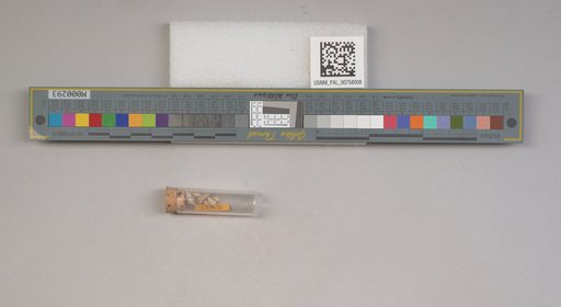 NSF ADBC EPICC TCN