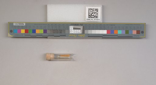 NSF ADBC EPICC TCN