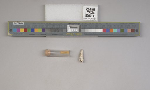 NSF ADBC EPICC TCN