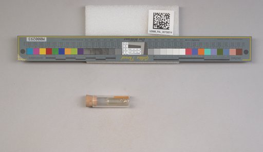 NSF ADBC EPICC TCN