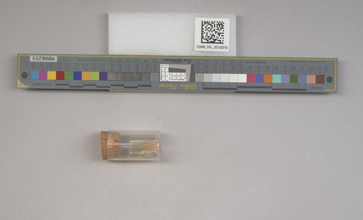 NSF ADBC EPICC TCN