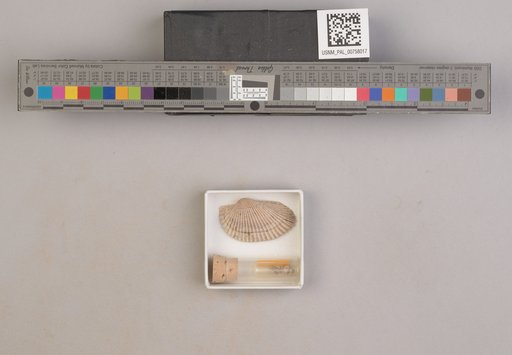 NSF ADBC EPICC TCN