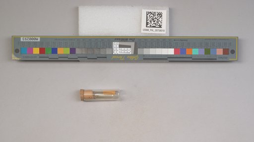 NSF ADBC EPICC TCN