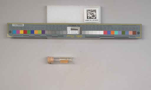 NSF ADBC EPICC TCN