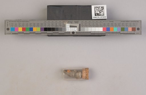 NSF ADBC EPICC TCN