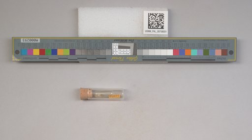 NSF ADBC EPICC TCN