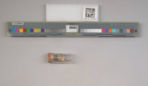 NSF ADBC EPICC TCN