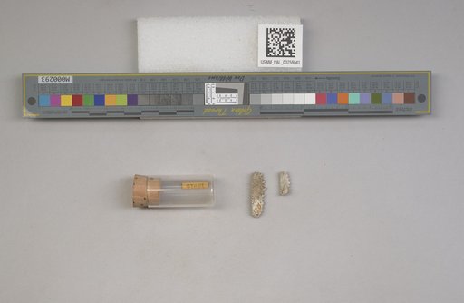 NSF ADBC EPICC TCN