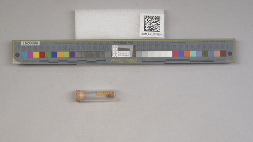 NSF ADBC EPICC TCN