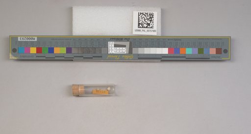 NSF ADBC EPICC TCN