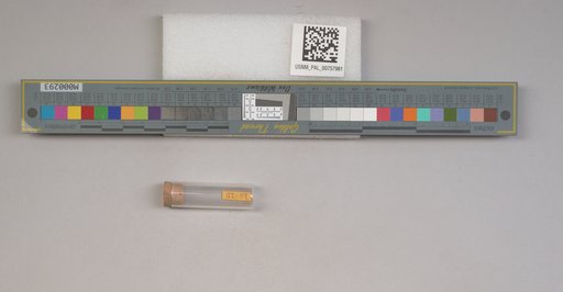 NSF ADBC EPICC TCN