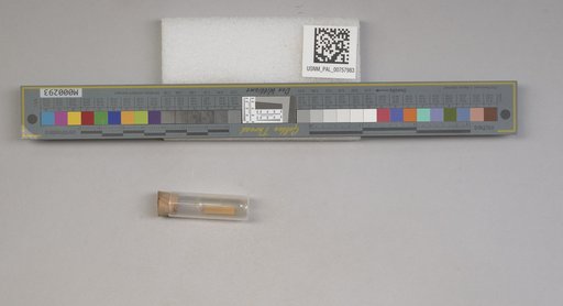 NSF ADBC EPICC TCN