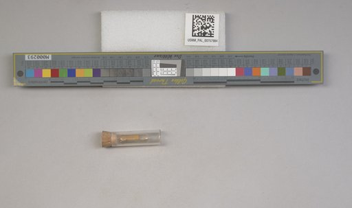 NSF ADBC EPICC TCN