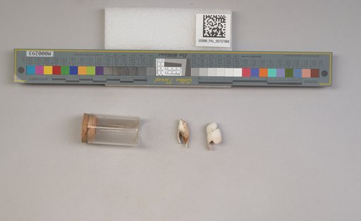 NSF ADBC EPICC TCN
