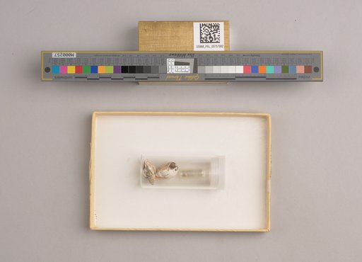 NSF ADBC EPICC TCN