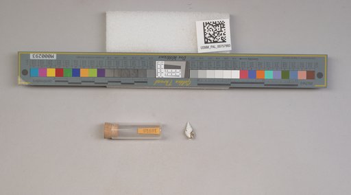 NSF ADBC EPICC TCN