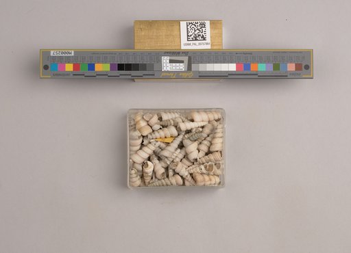NSF ADBC EPICC TCN