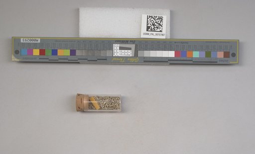 NSF ADBC EPICC TCN