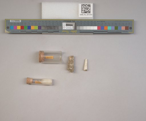 NSF ADBC EPICC TCN