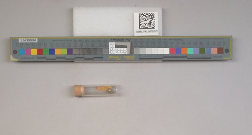 NSF ADBC EPICC TCN