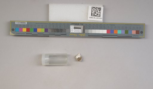 NSF ADBC EPICC TCN