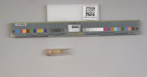 NSF ADBC EPICC TCN