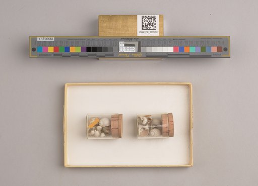 NSF ADBC EPICC TCN