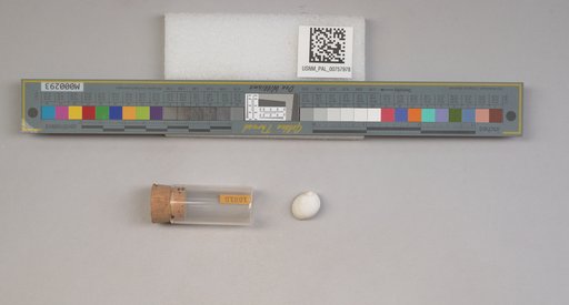 NSF ADBC EPICC TCN