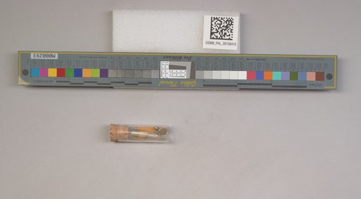 NSF ADBC EPICC TCN