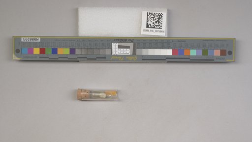 NSF ADBC EPICC TCN