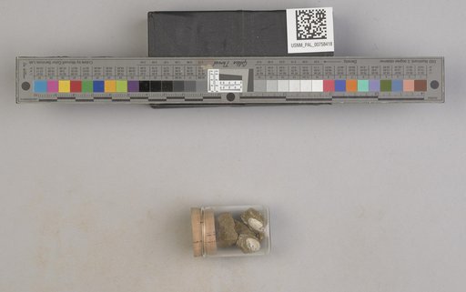 NSF ADBC EPICC TCN
