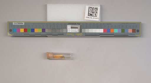 NSF ADBC EPICC TCN