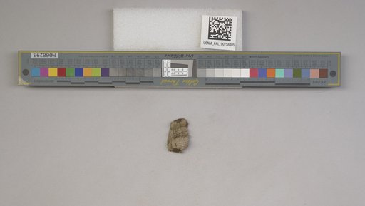 NSF ADBC EPICC TCN