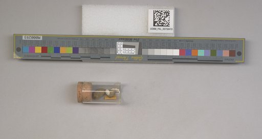 NSF ADBC EPICC TCN